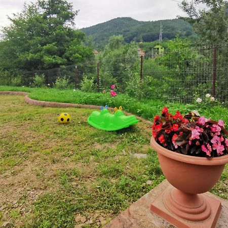 Casa Vio Pension Nehoiu Buitenkant foto