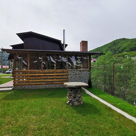 Casa Vio Pension Nehoiu Buitenkant foto