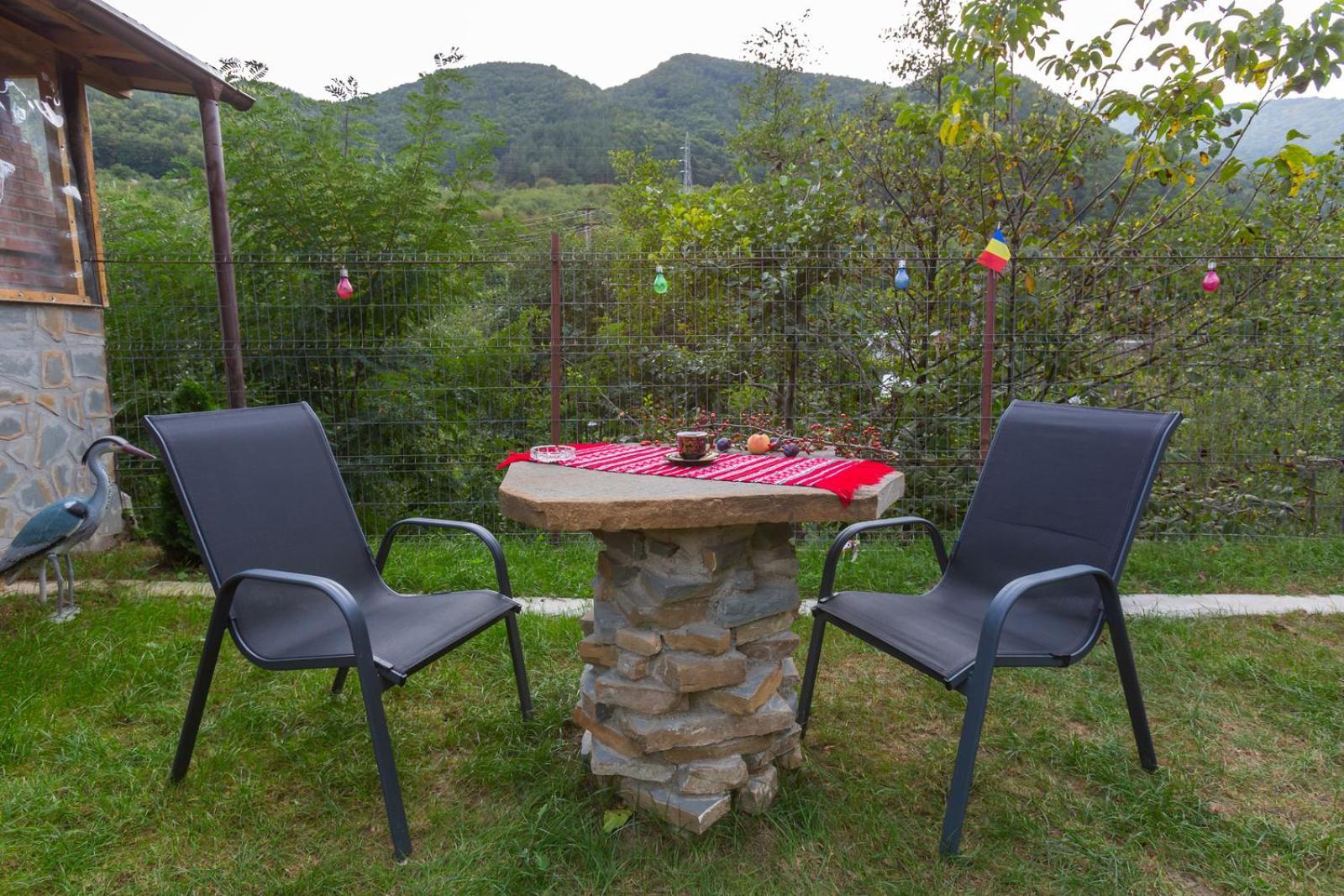Casa Vio Pension Nehoiu Buitenkant foto
