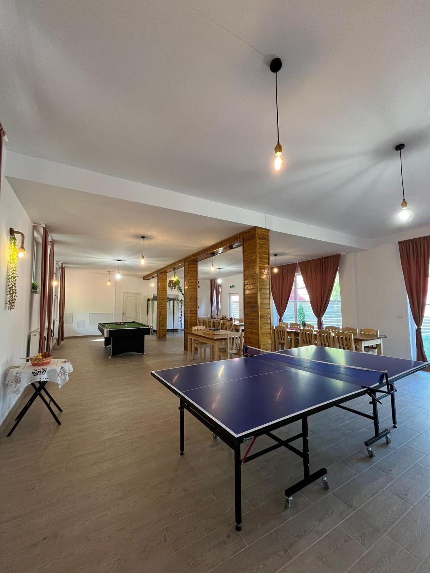 Casa Vio Pension Nehoiu Buitenkant foto