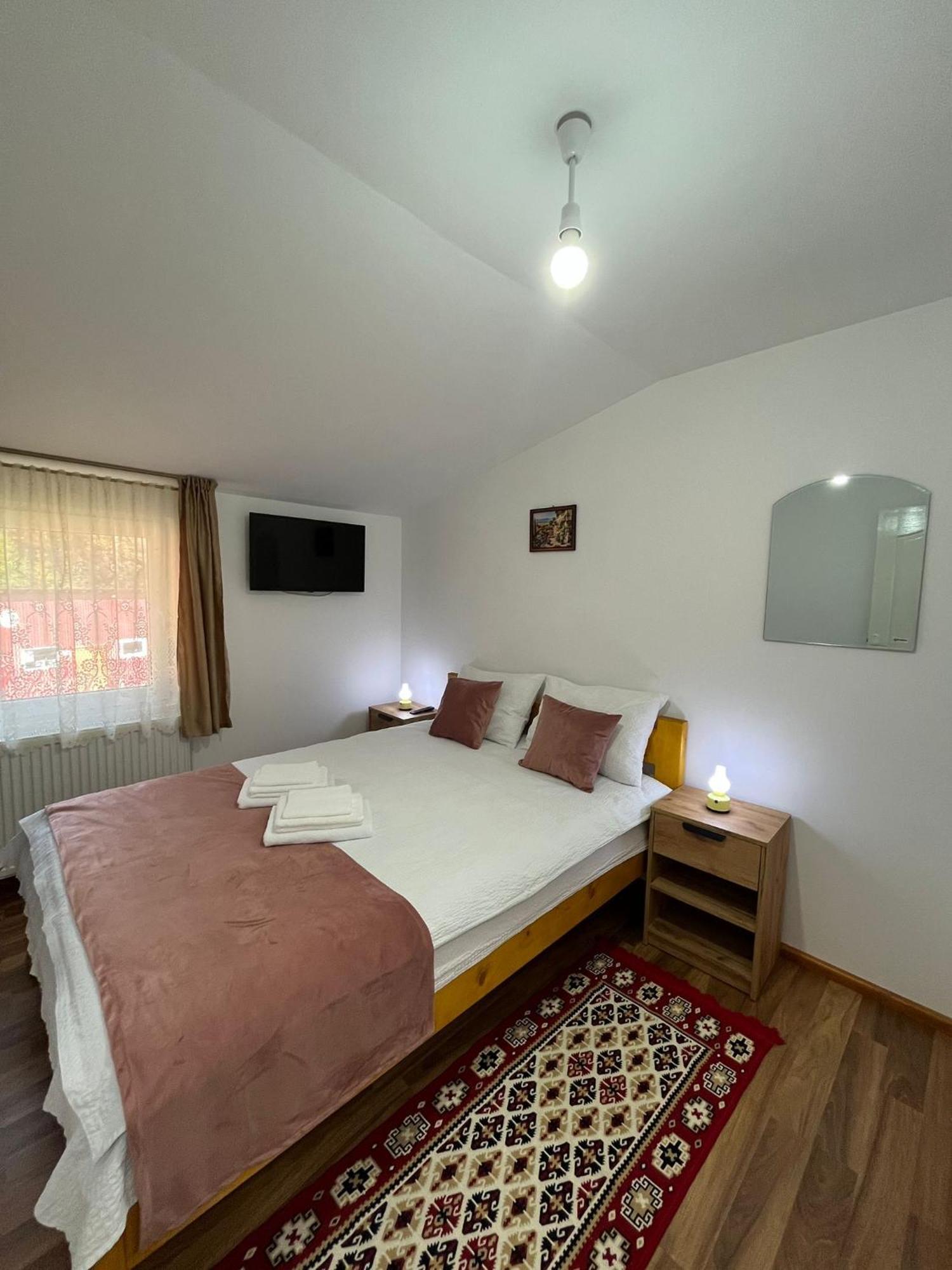Casa Vio Pension Nehoiu Buitenkant foto