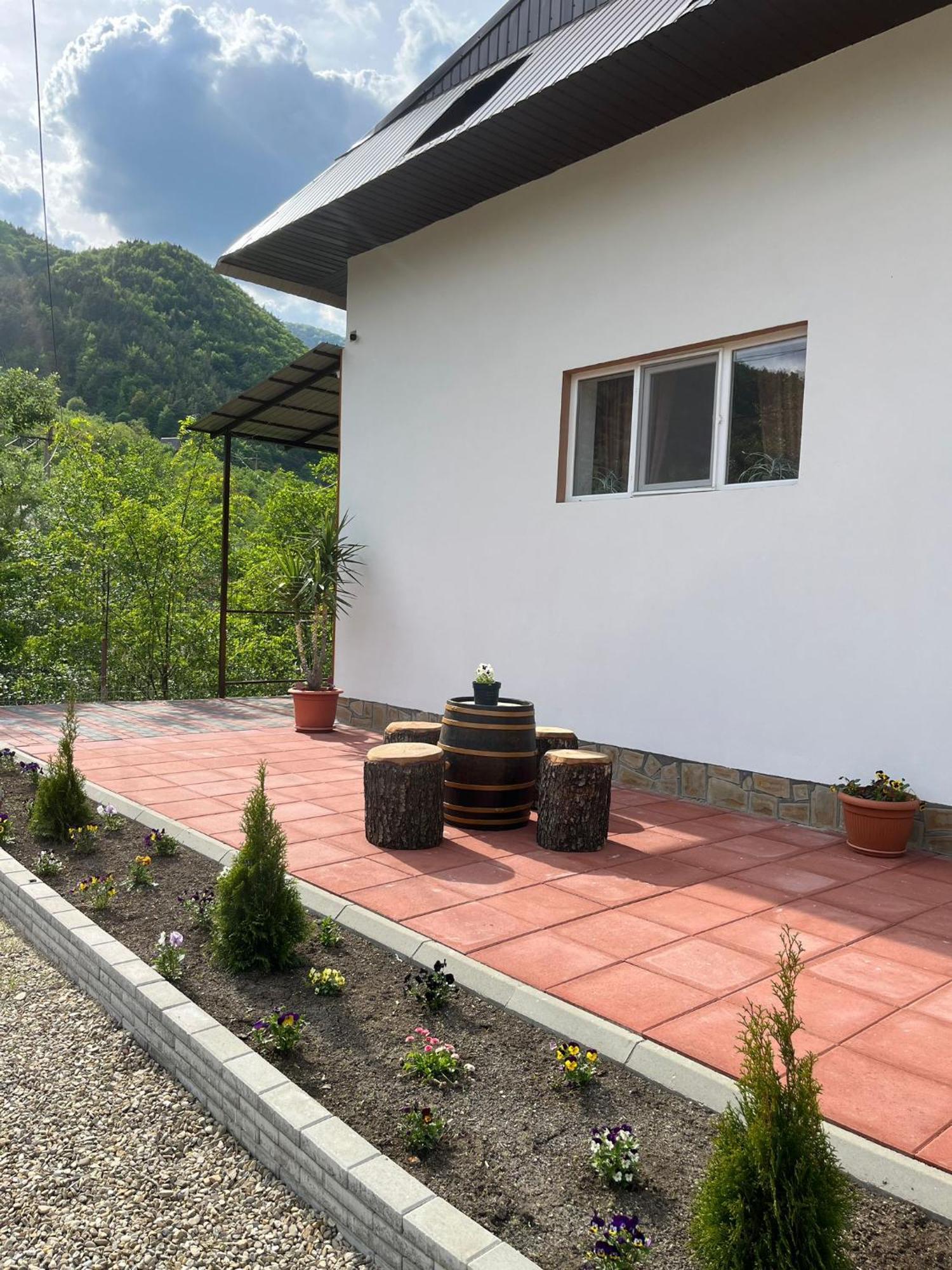 Casa Vio Pension Nehoiu Buitenkant foto