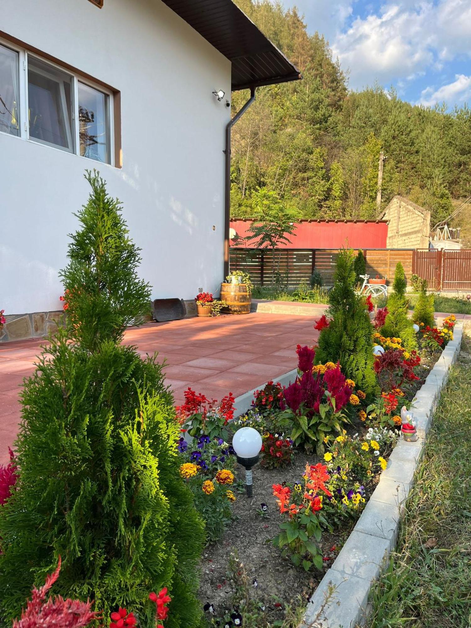 Casa Vio Pension Nehoiu Buitenkant foto